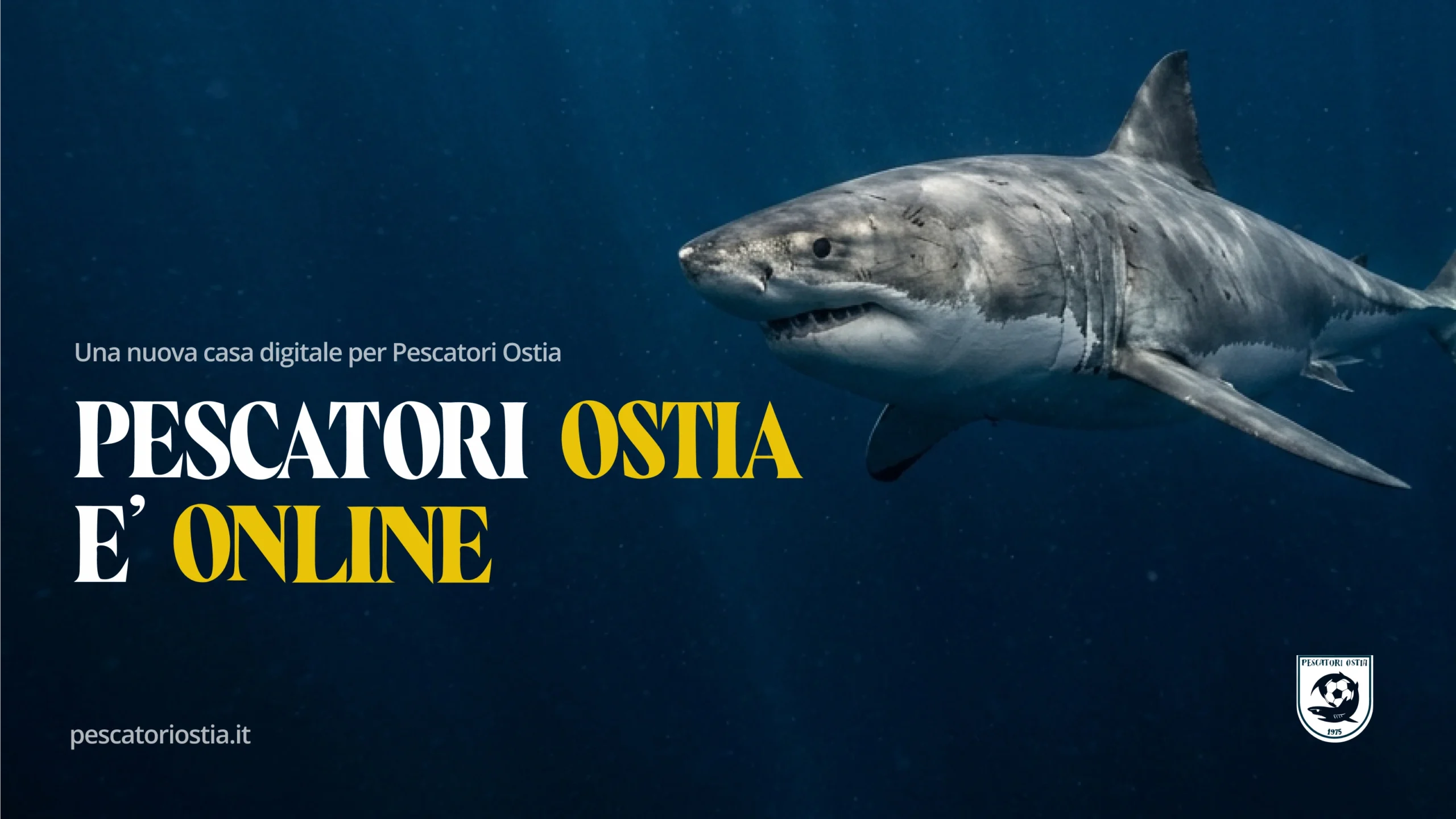 Il nuovo sito della Pescatori Ostia è online – Pescatori Ostia ASD Il nuovo sito della Pescatori Ostia è online - Pescatori Ostia ASD